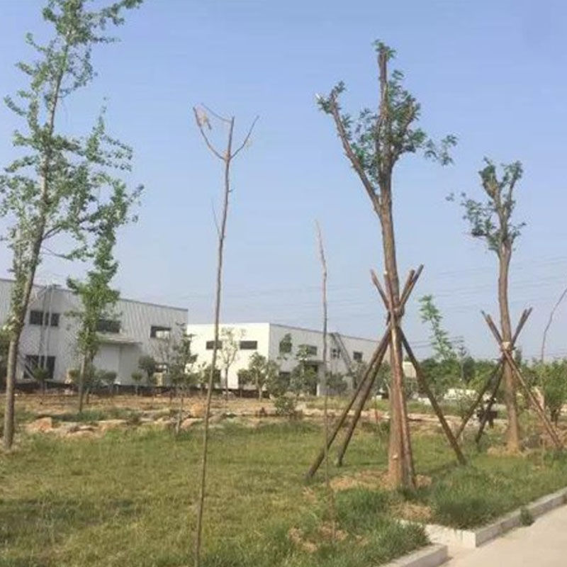 廠(chǎng)區(qū)展示 廠(chǎng)區(qū)展示